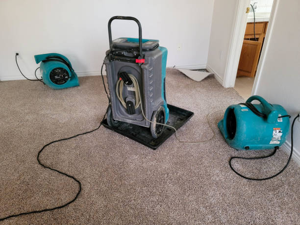Best Flood restoration services  in Inverness Highlands South, FL