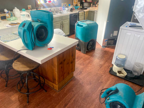 Best Ceiling water damage repair  in Inverness Highlands South, FL