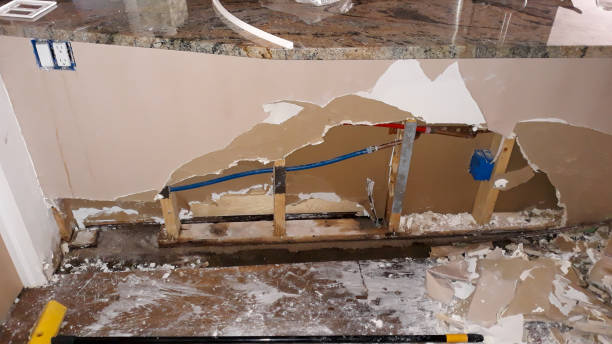 Water damage restoration mold remediation in FL