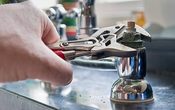 Best Mold removal after water damage  in Inverness Highlands South, FL