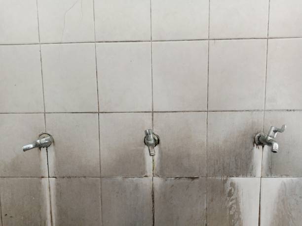 Local water damage restoration in FL