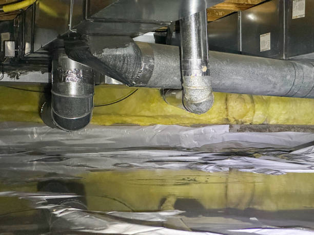 Best Water damage restoration process  in Inverness Highlands South, FL