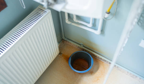 Best Professional water damage repair  in Inverness Highlands South, FL