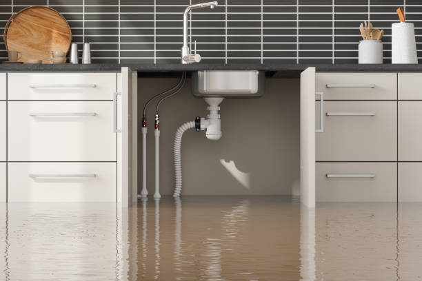 Best Commercial water damage restoration  in Inverness Highlands South, FL