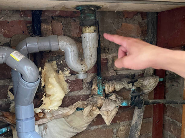 Best Water damage repair service  in Inverness Highlands South, FL
