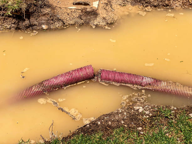 Best Water damage restoration mold remediation  in Inverness Highlands South, FL